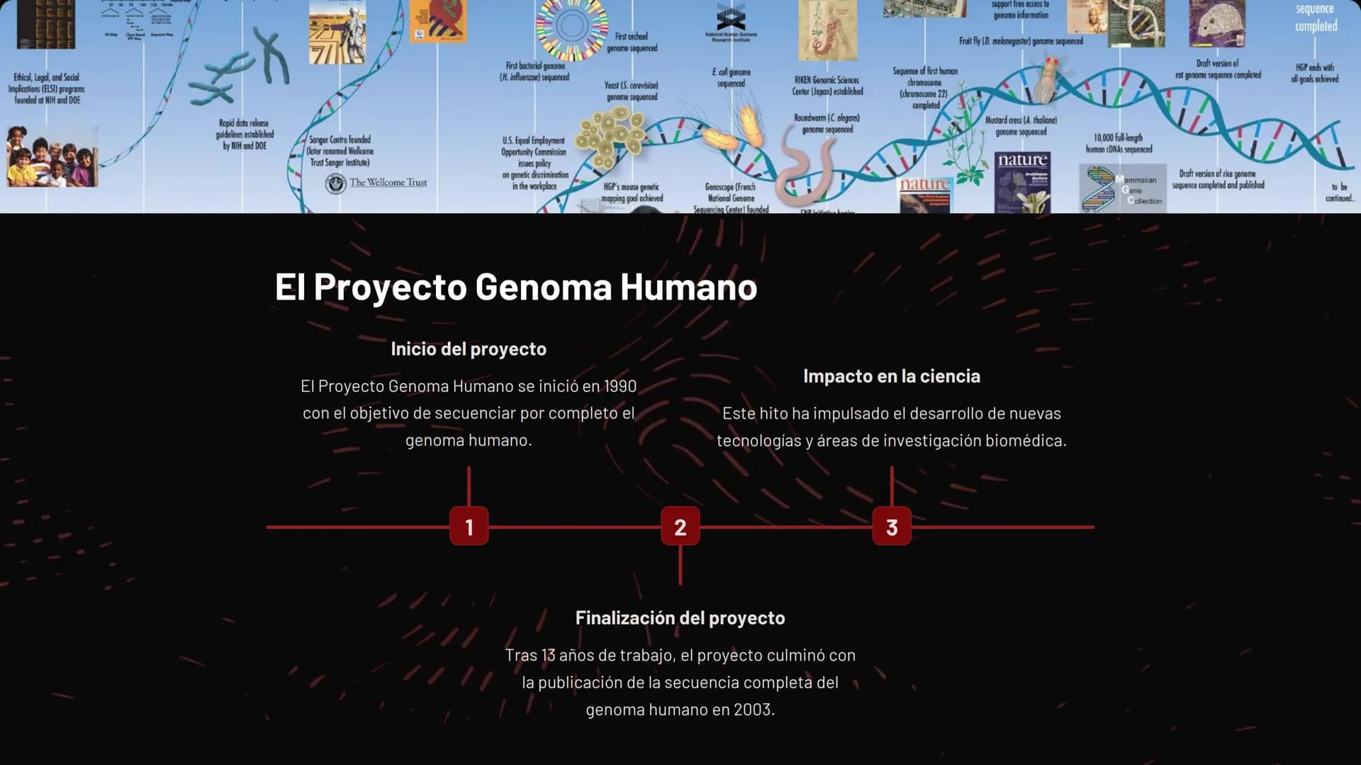Introducción al
genoma humano
El genoma humano es el conjunto completo de material genético
presente en las células, compuesto por aproximad