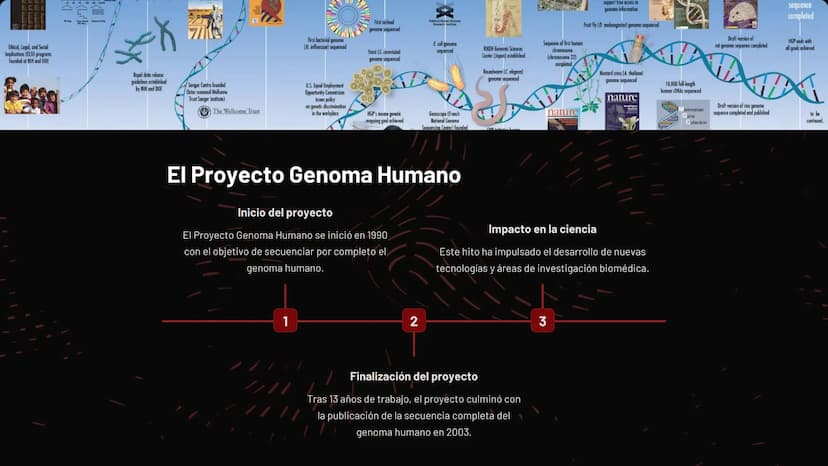 Introducción al
genoma humano
El genoma humano es el conjunto completo de material genético
presente en las células, compuesto por aproximad