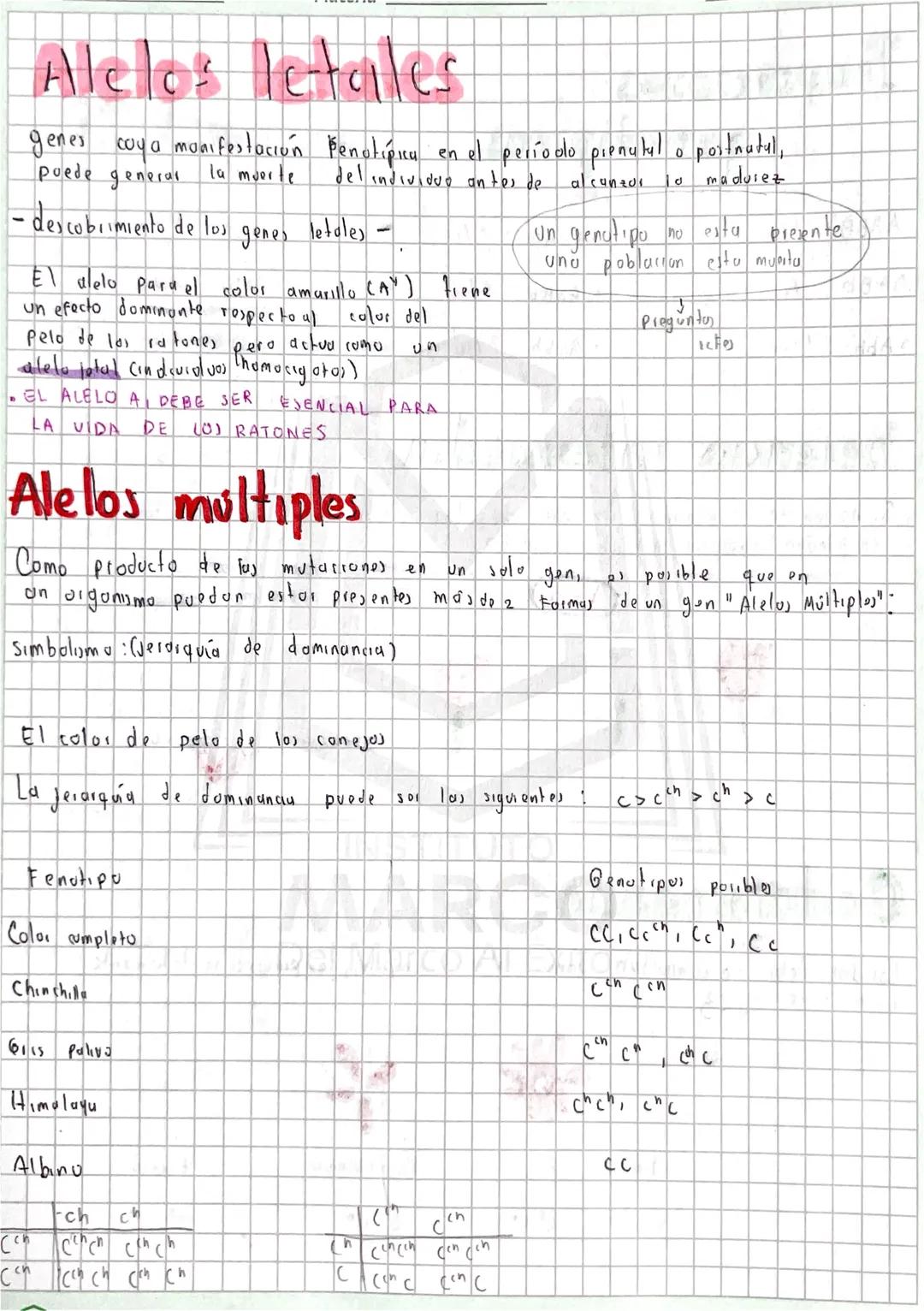 Proporciones
AABB : 1/16
AABD 2/16
genotipicas
•Aa BB : 2/16
AaBb: 4/16
QaBB 1/16
da Bb
2/16
A Abb
1/16
Aabb 2/16
"
abb 1/16
herencia interm
