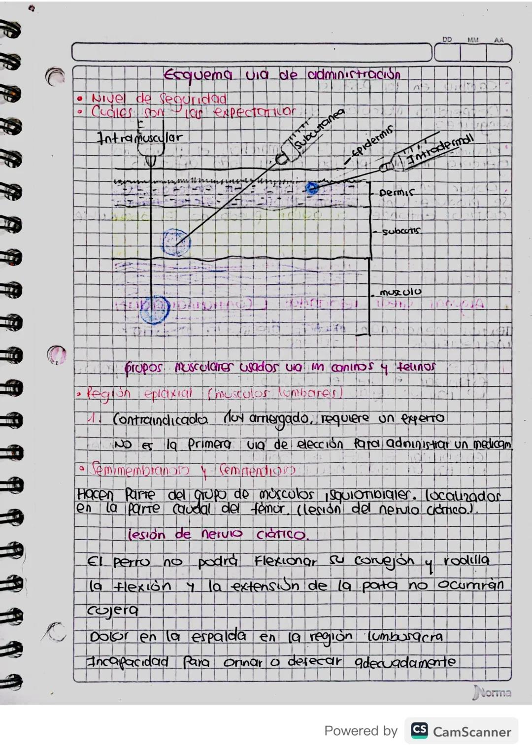 Guía Vía de administración farmacológica veterinaria básica 
