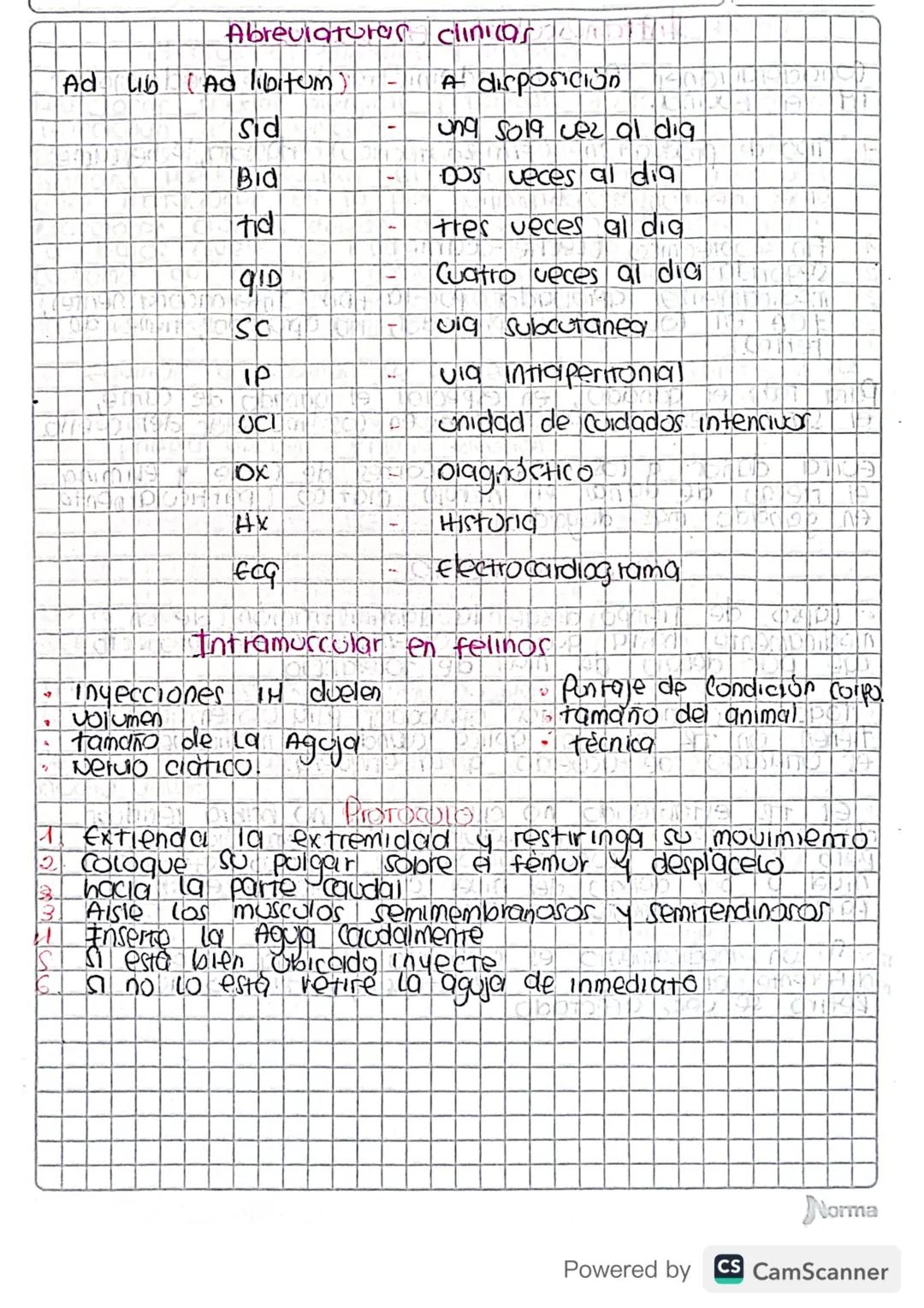 Esquema via de administración
• Nivel de Seguridad
Cuales son las expectancar
Intramuscular
Subcutanea
DD
MM
AA
Epidermis
Intradermall
-Derm