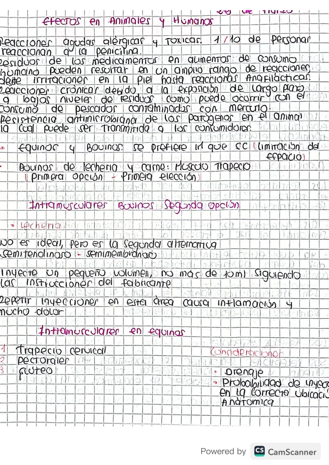 Esquema via de administración
• Nivel de Seguridad
Cuales son las expectancar
Intramuscular
Subcutanea
DD
MM
AA
Epidermis
Intradermall
-Derm