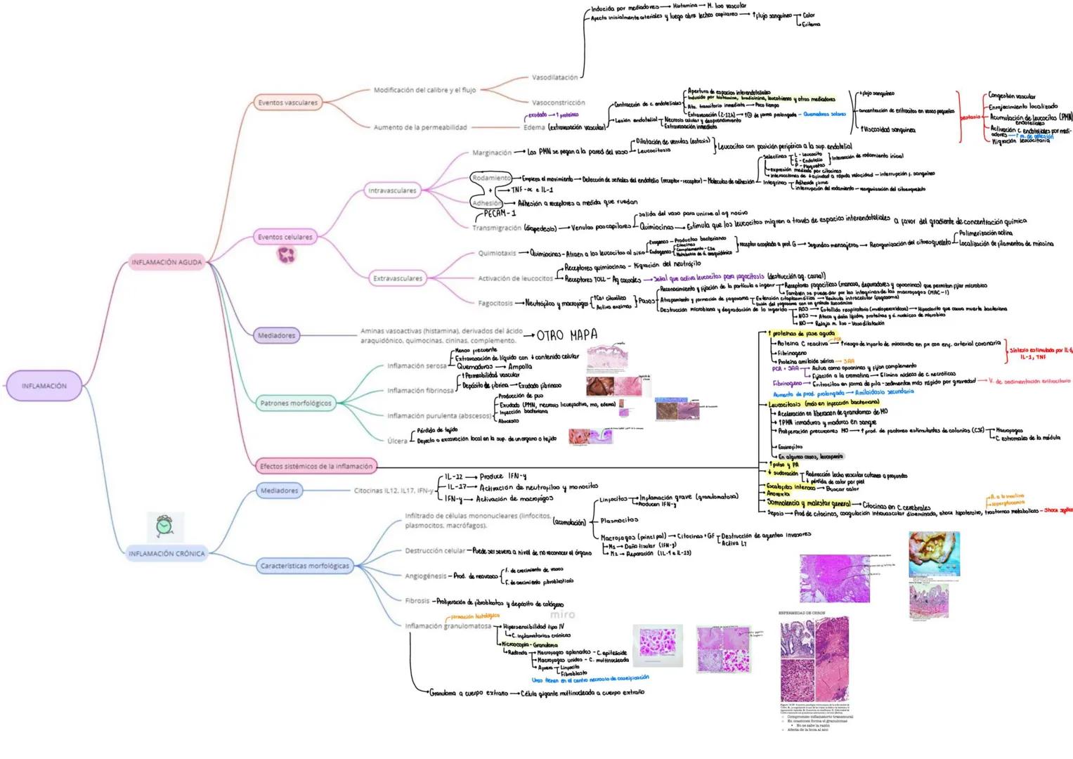 Infecciones
Lesiones termicos.
Exposición a radiaciones
Golpes
Induce inflamación con independencia de la causa de la muerte celular
Trauma
