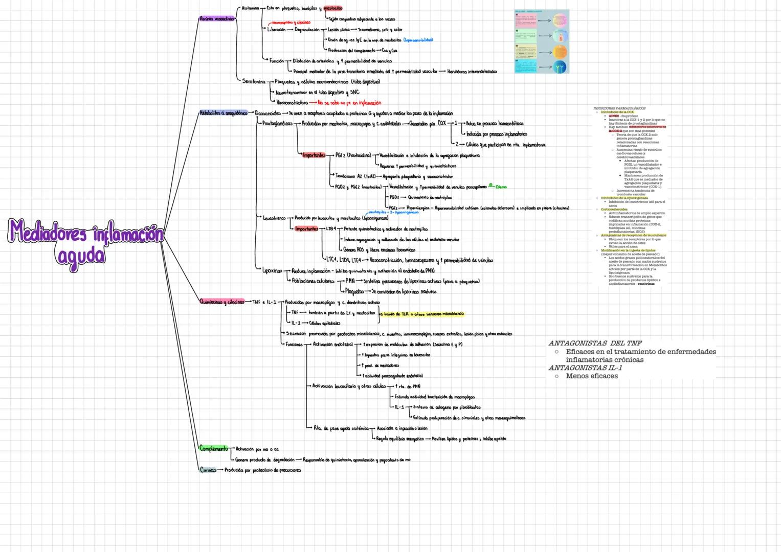 Infecciones
Lesiones termicos.
Exposición a radiaciones
Golpes
Induce inflamación con independencia de la causa de la muerte celular
Trauma
