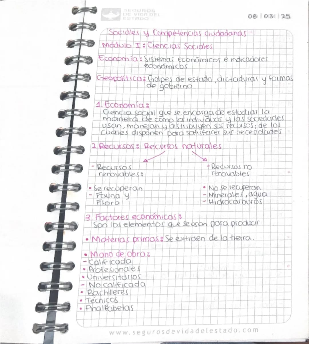 SEGUROS
DE VIDA DEL
ESTADO
08|03|25
Sociales y Competencias ciudadanas
Módulo I: Ciencias Sociales
Economía: Sistemas económicos e indicador