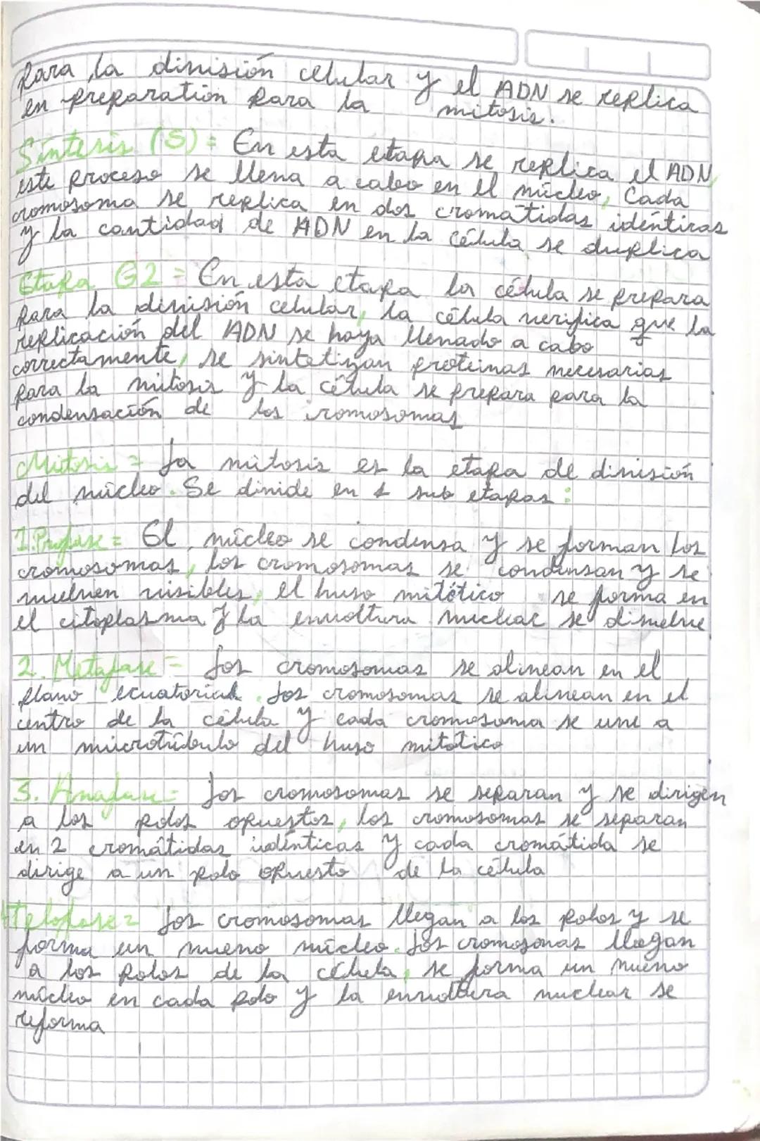 - Cuales son las clapor que conforman el ciclo celular
Explica detalladamente los
- cada una de ellas
eventos
gue
ocurren in
2 Realiza il es