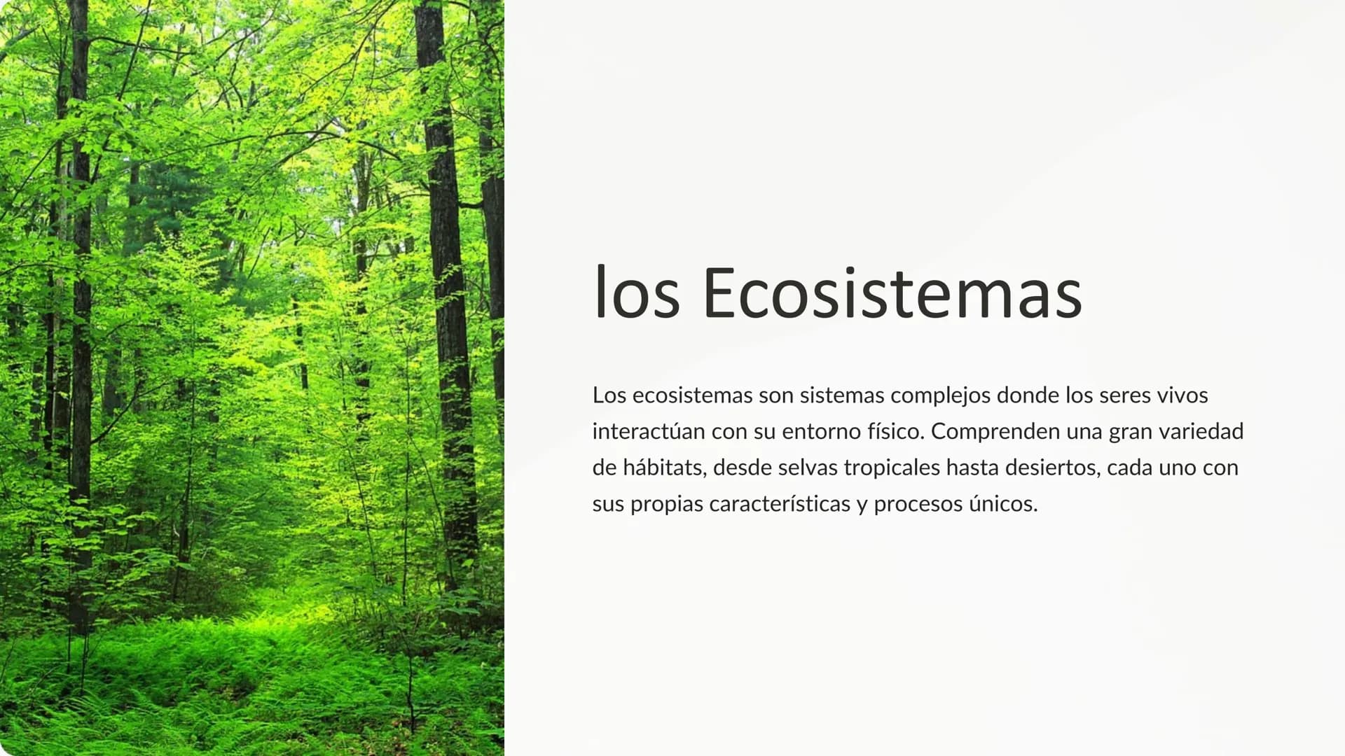 los Ecosistemas
Los ecosistemas son sistemas complejos donde los seres vivos
interactúan con su entorno físico. Comprenden una gran variedad