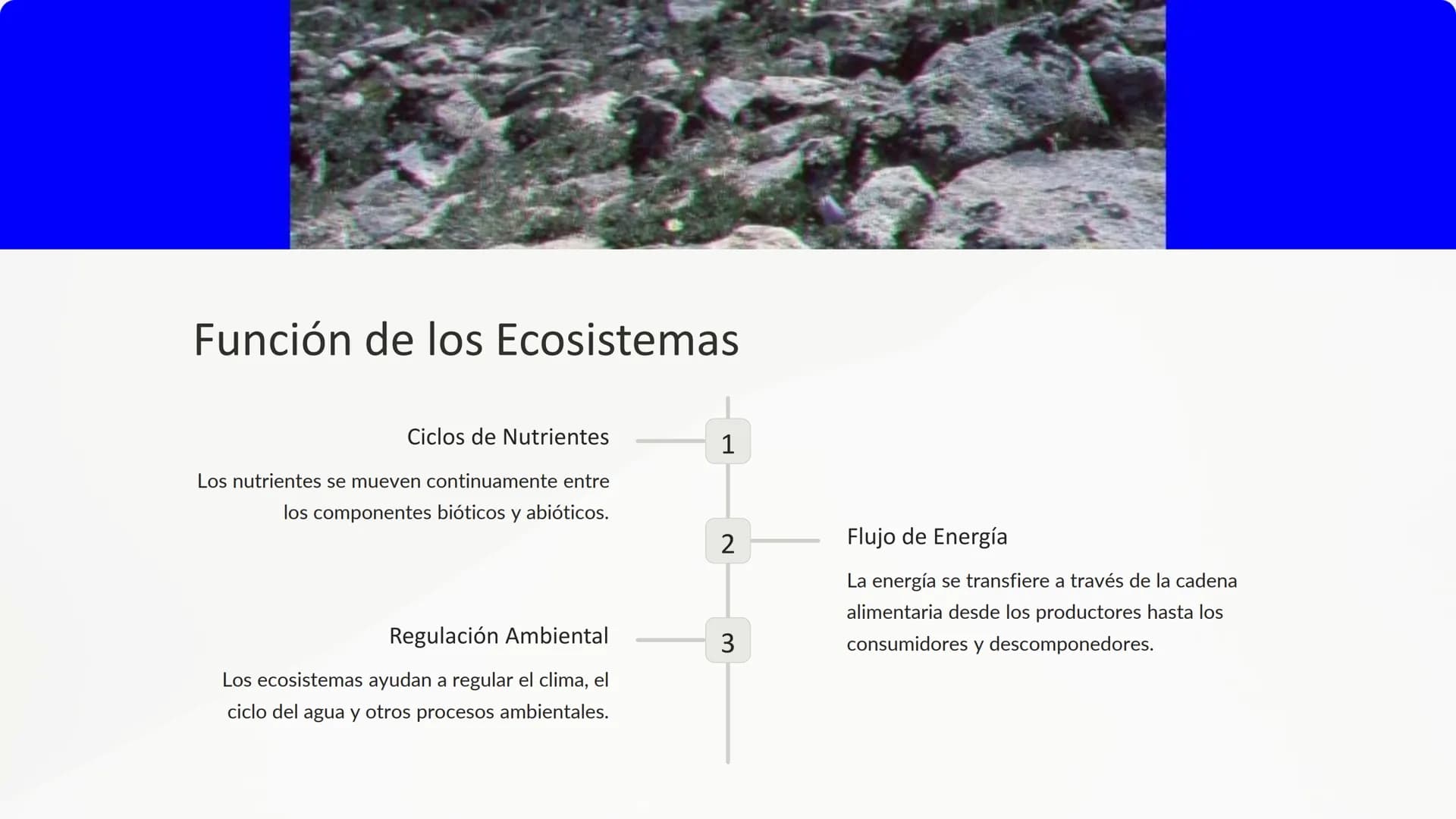 los Ecosistemas
Los ecosistemas son sistemas complejos donde los seres vivos
interactúan con su entorno físico. Comprenden una gran variedad