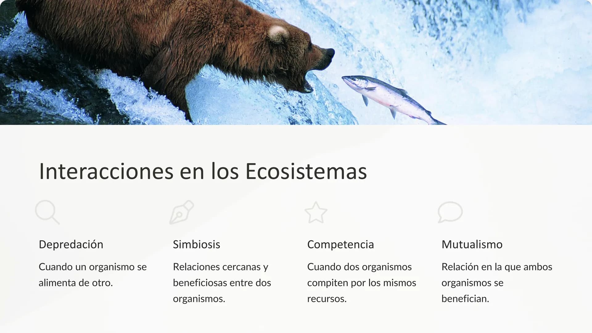 los Ecosistemas
Los ecosistemas son sistemas complejos donde los seres vivos
interactúan con su entorno físico. Comprenden una gran variedad