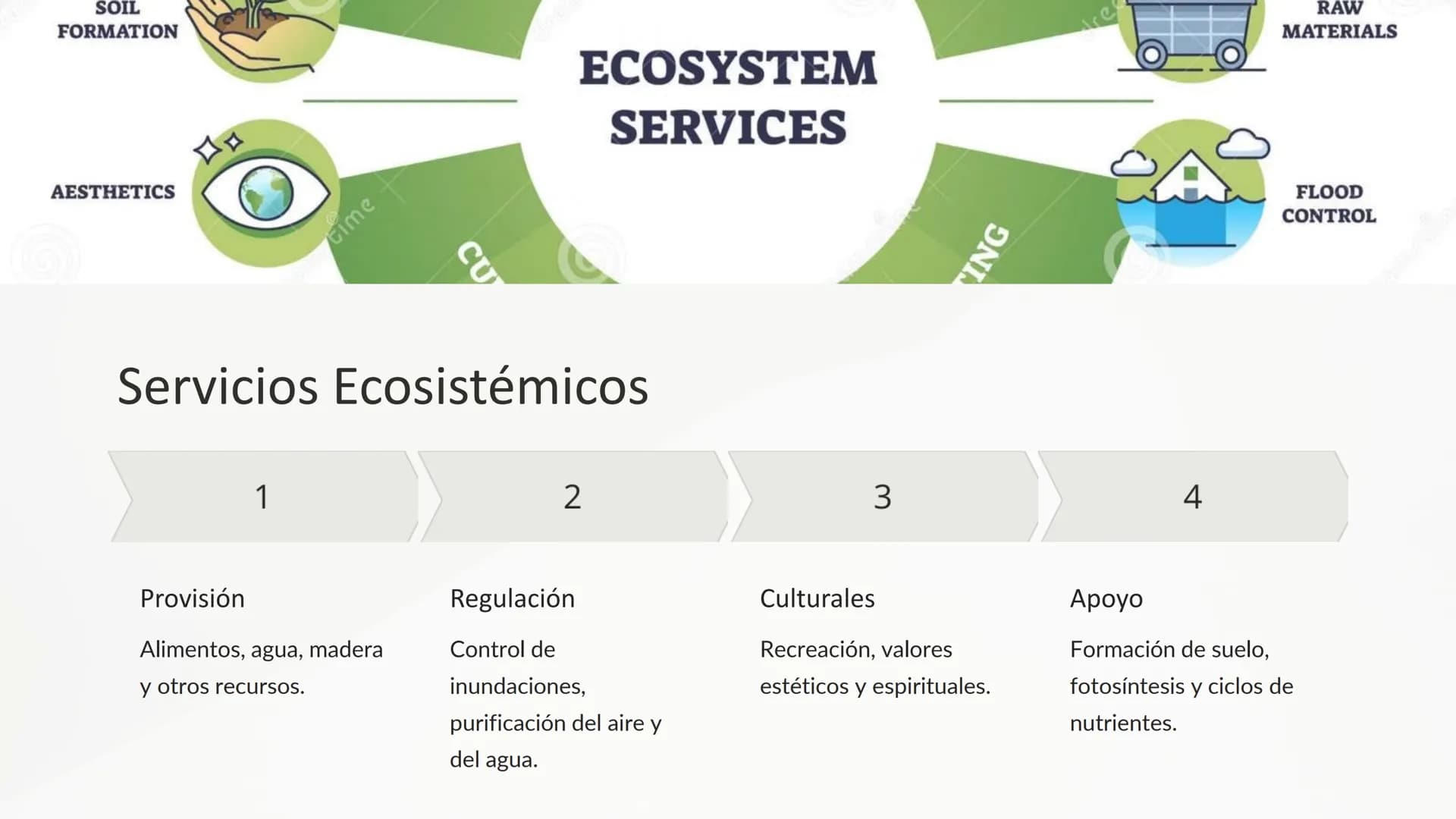 los Ecosistemas
Los ecosistemas son sistemas complejos donde los seres vivos
interactúan con su entorno físico. Comprenden una gran variedad
