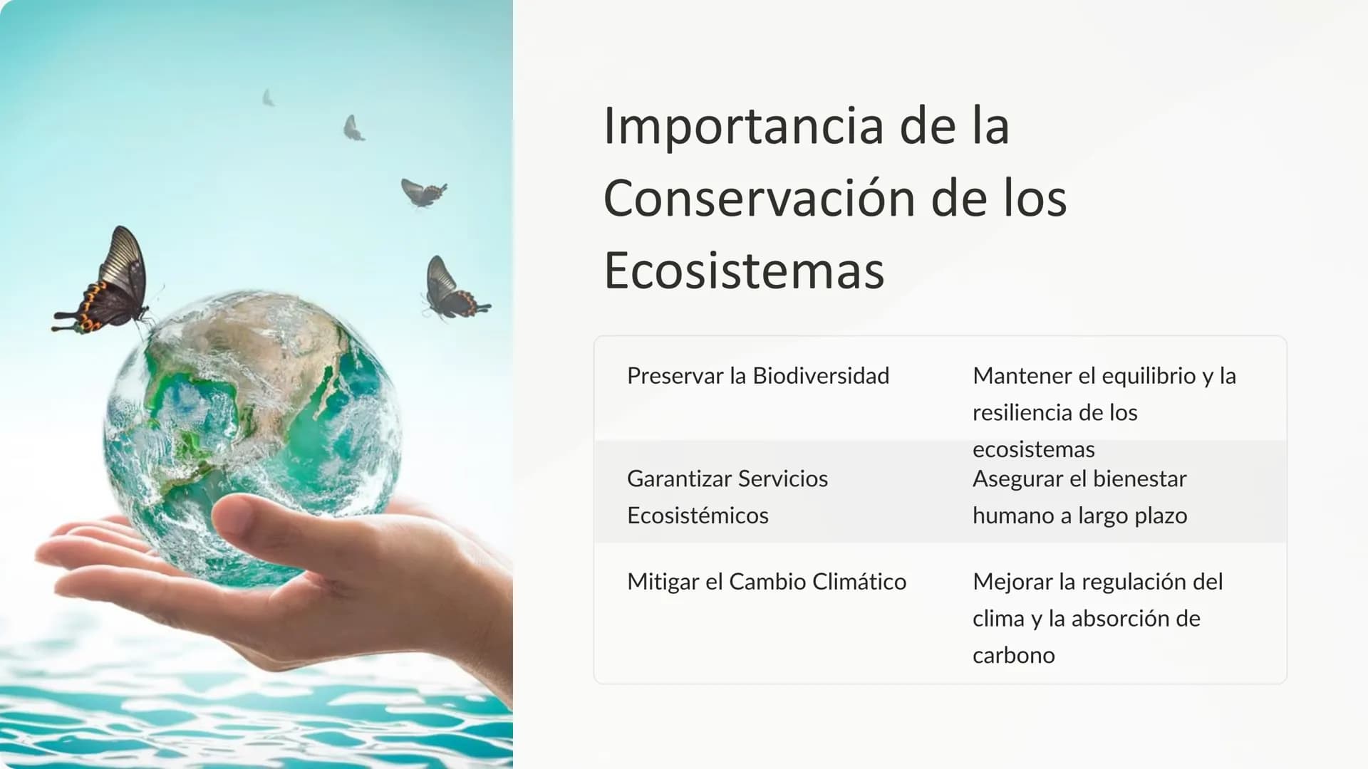 los Ecosistemas
Los ecosistemas son sistemas complejos donde los seres vivos
interactúan con su entorno físico. Comprenden una gran variedad