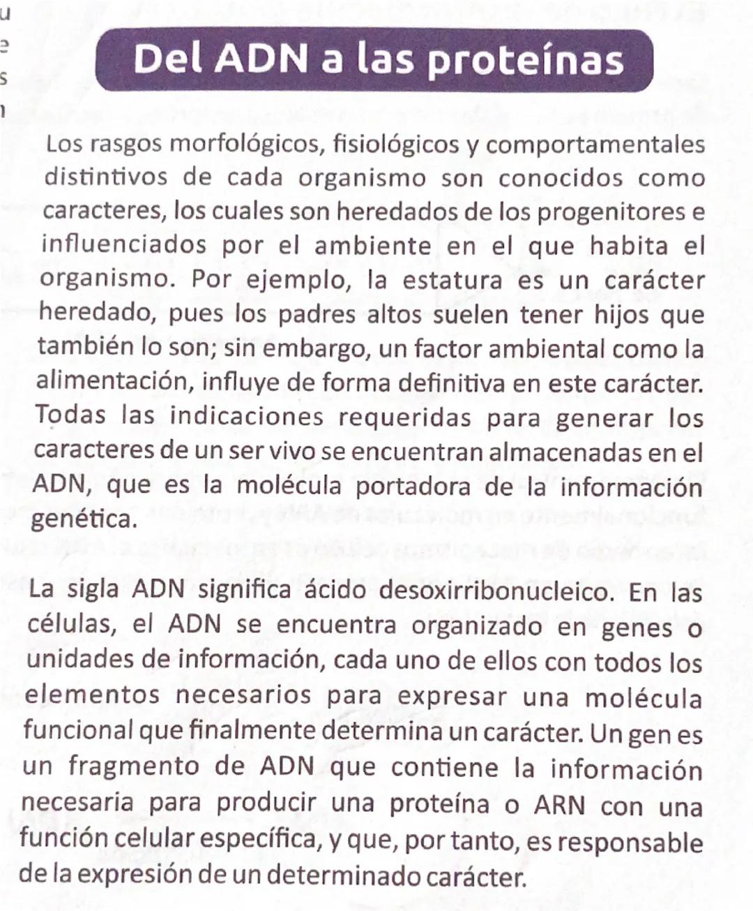 Primera letra
Segunda letra
U
C
A
G
UUU
UUC
} 
UCU
Phe
UCC
U
UUA
UCA
Ser
Leu
UCG
UUG
UAC
Tyr
UGU
Cys
UAA
Alto
UGA
Alto
UAG
Alto
UGG
Trp
CUU
