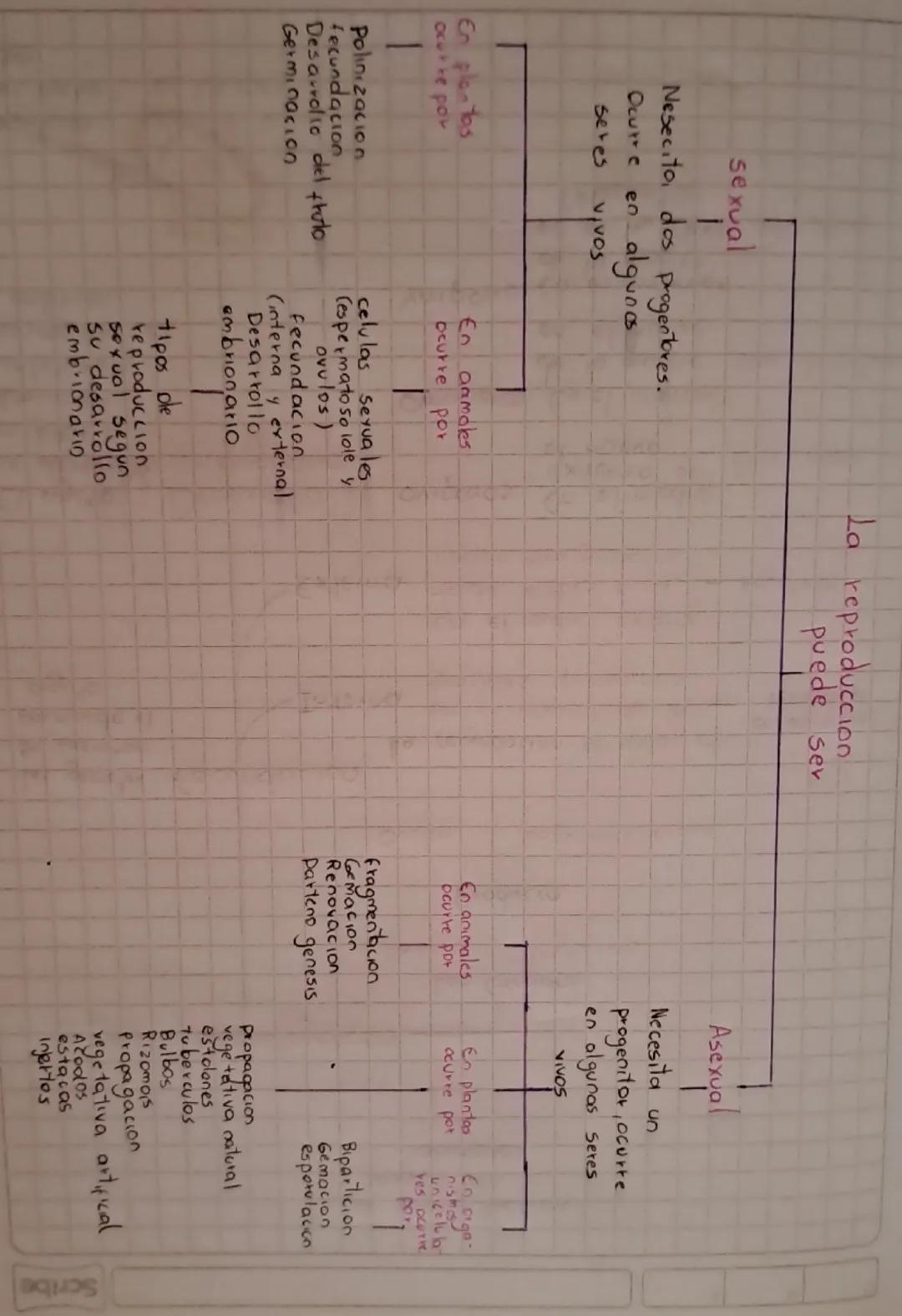 sexual
i
Nesecito, dos progentores.
Ocutte en
algunos
seres
En plantas
ocurre por
En anmoles
ocurre por
Polinizacion
fecundation
Desarrollo 