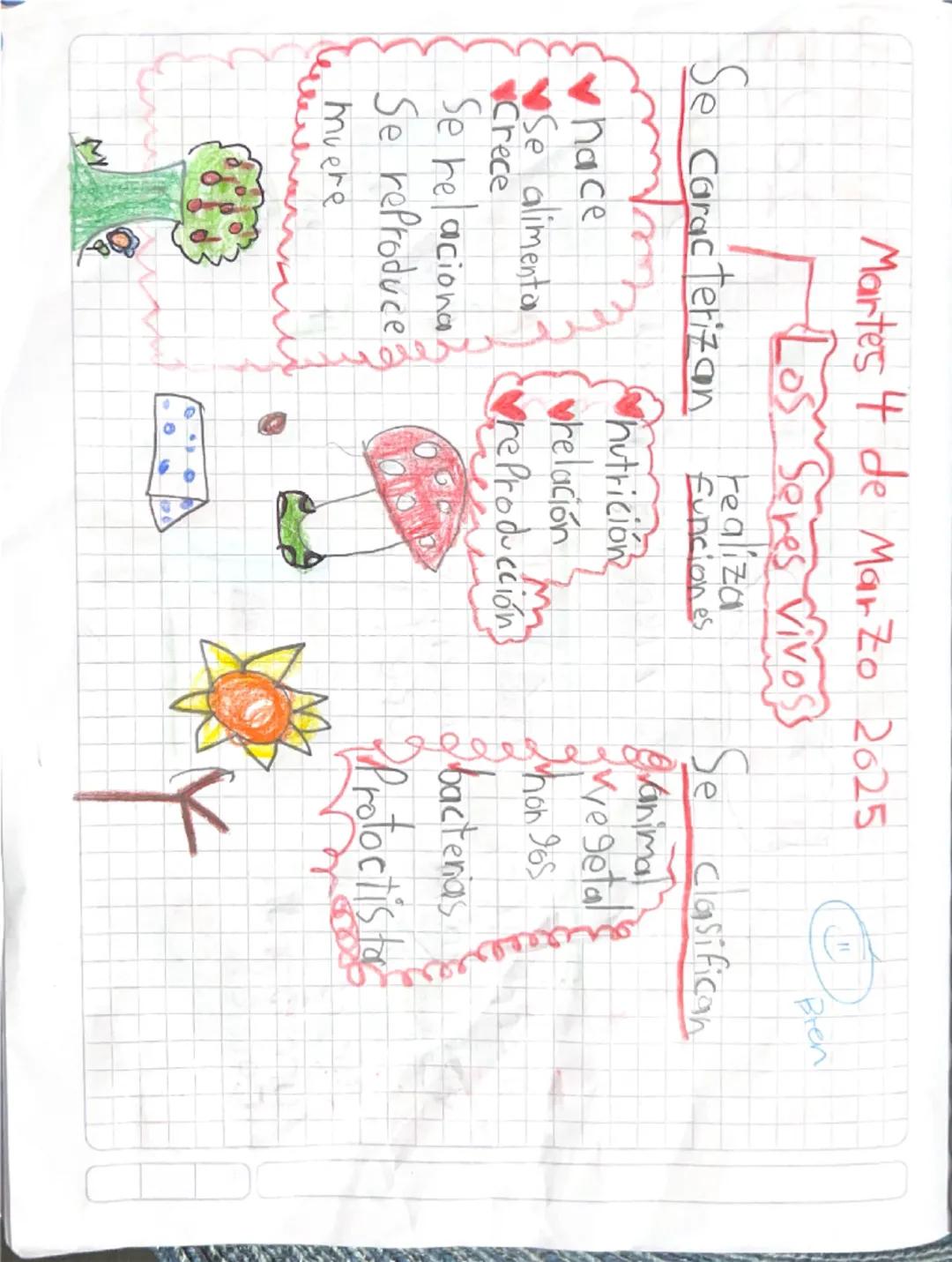 Martes 4 de Marzo 2025

Los Sores vivos

Se caracterizan Fealiza
 funciones

hutrición

hace
relación
Se alimenta

M
Crece
reproducción

Se 