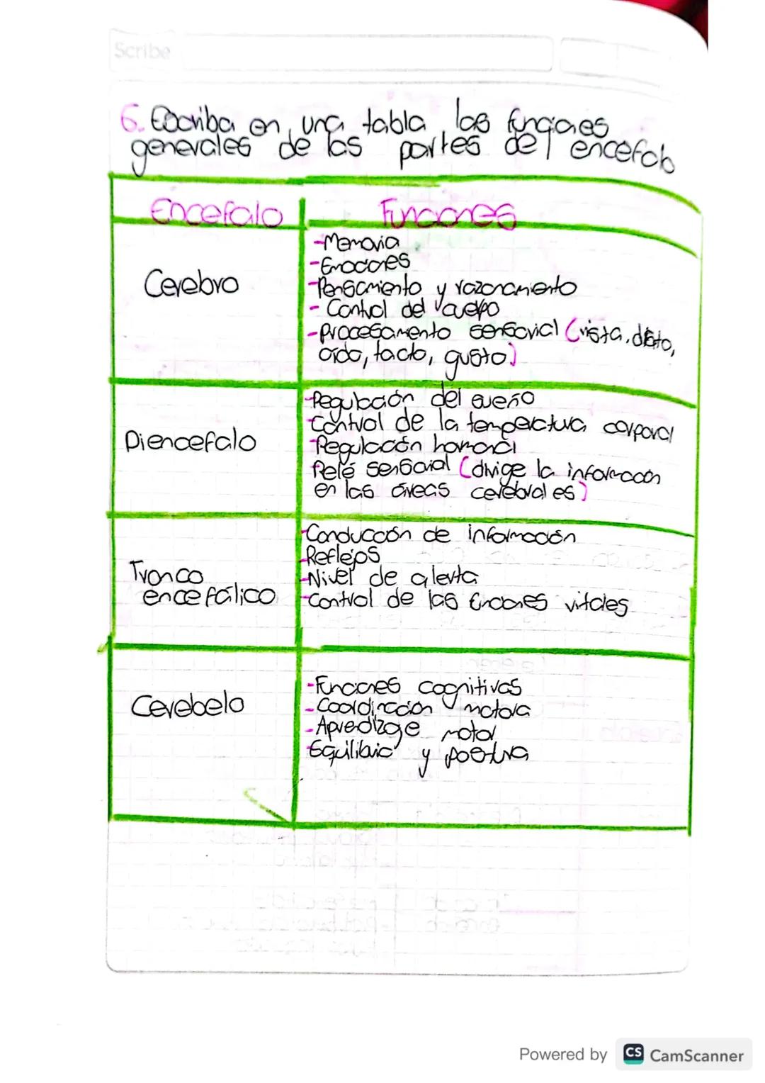 Scribe

6. Cocriba
corales de Pasta partes de encefch
Scriba en una tabla las fungiaes
generales

| Encefalo | Funcones |
| ----------- | --