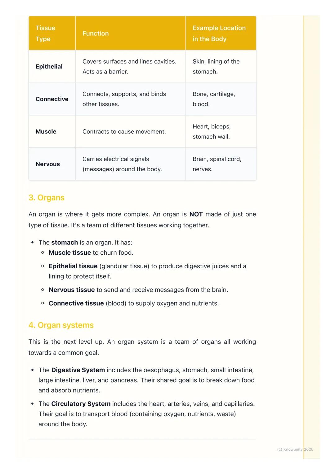 # Tissues, Organs, and Systems

## How our bodies are organised

All living things, including us, are highly organised. It's not just a rand