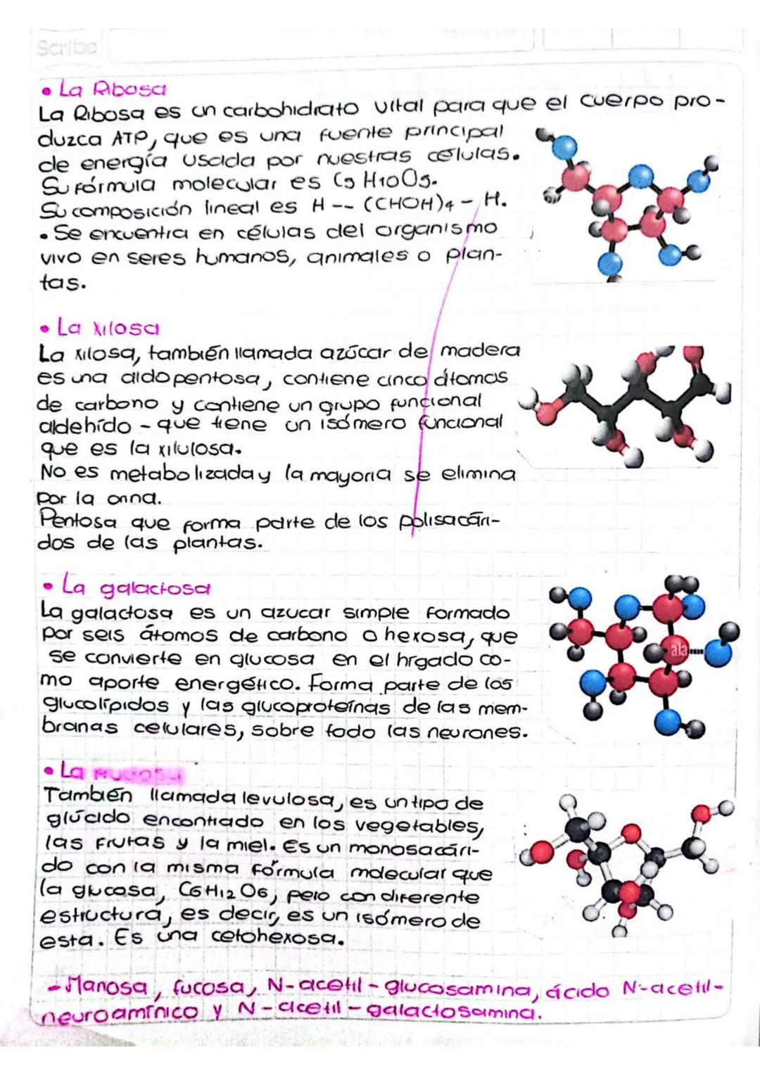 Febrero 2 del 2023

Biocompuestos

TAREA
*   Clasifique los carbohidratos en monosacáridos,
disacáridos, polisacáridos y defina cada uno.

D