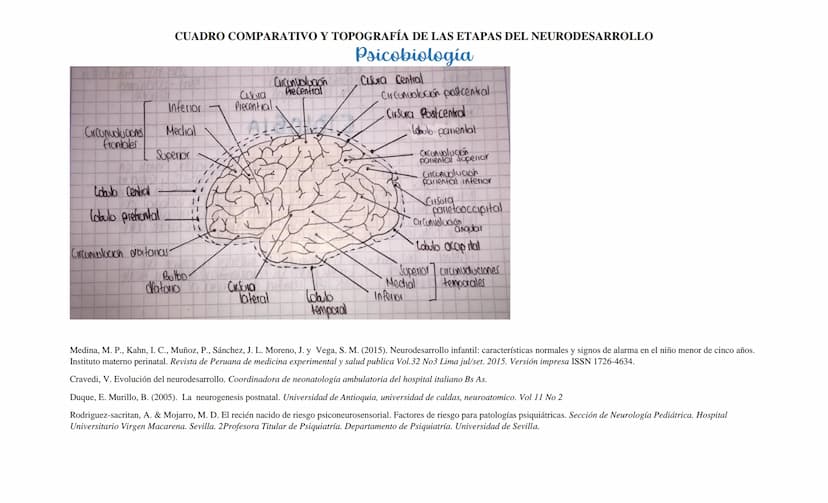 CUADRO COMPARATIVO Y TOPOGRAFÍA DE LAS ETAPAS DEL NEURODESARROLLO
Psicobiología
ETAPAS DEL
NEURODESARROLLO
DEFINICIÓN (TIEMPO)
PRENATAL
PERI
