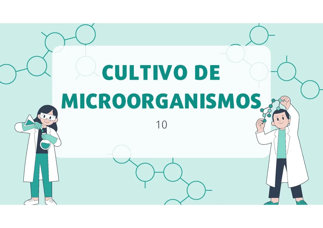 Proyecto sobre los microorganismos 