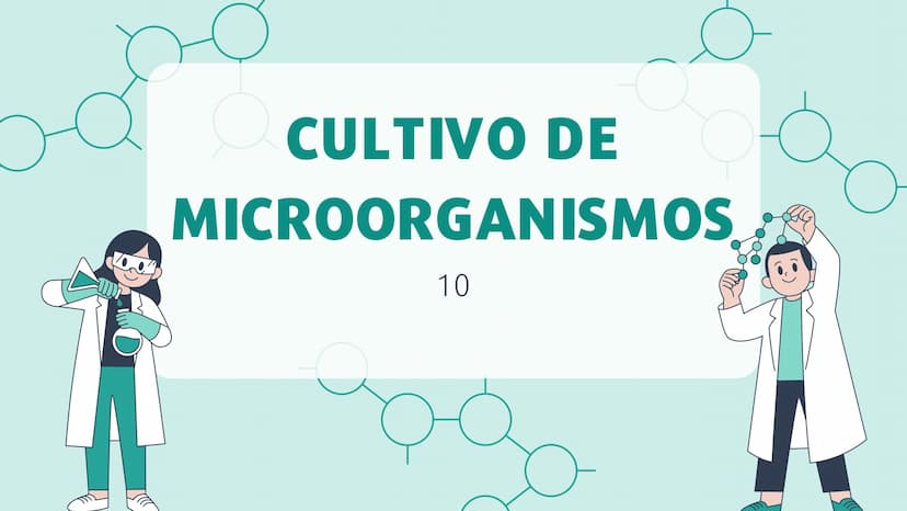 о
CULTIVO DE
MICROORGANISMOS
10 Introducción
Los microorganismos (al igual que todos los
seres vivos) necesitan nutrientes para
desarrollars