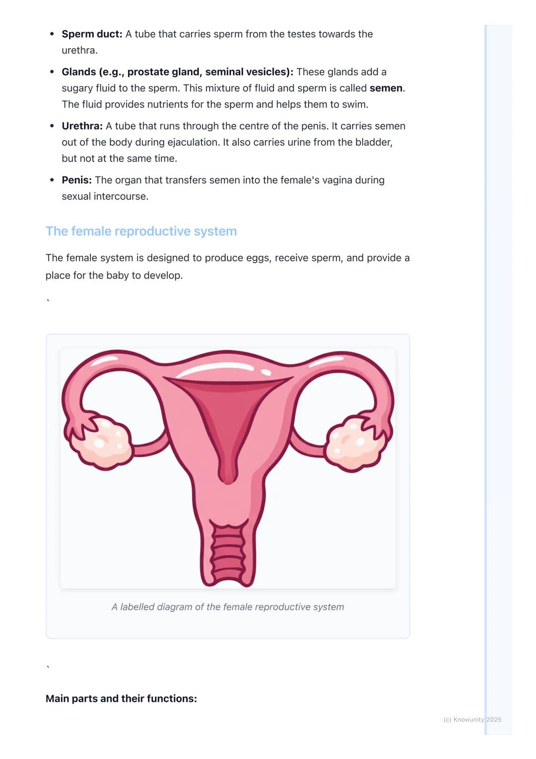 # Human Reproductive System

Introduction to human reproduction

Reproduction is one of the main life processes. It's how living things crea