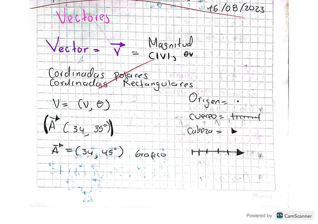 Vectores: Conceptos Básicos y Operaciones