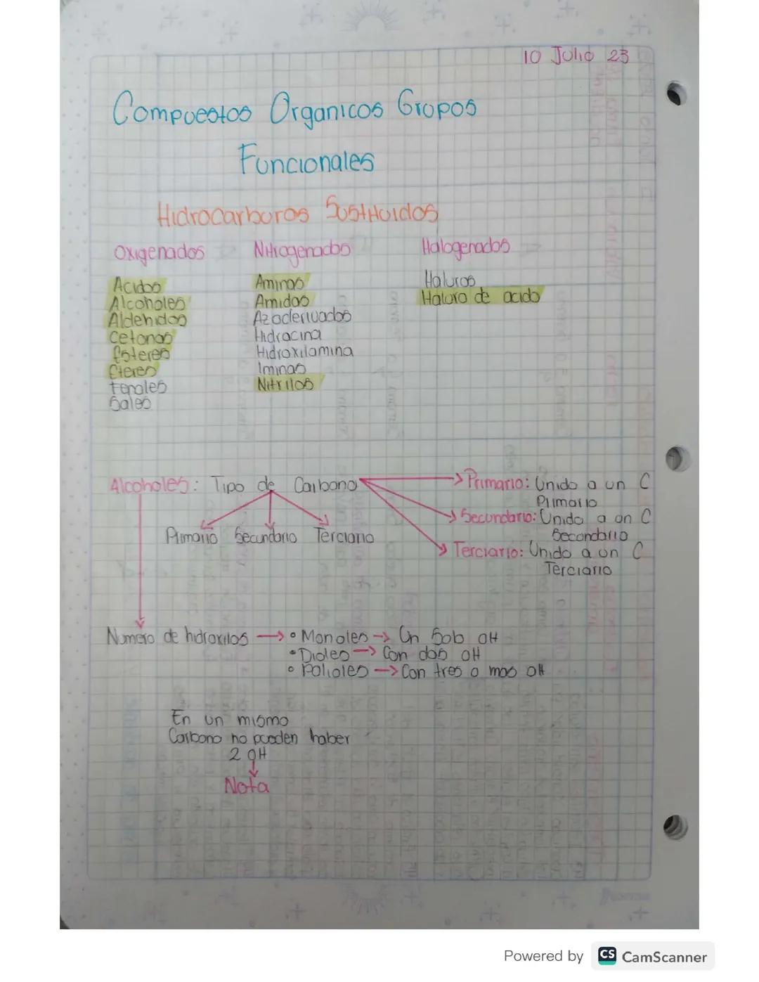 Introducción a la Química Orgánica: Parte Final