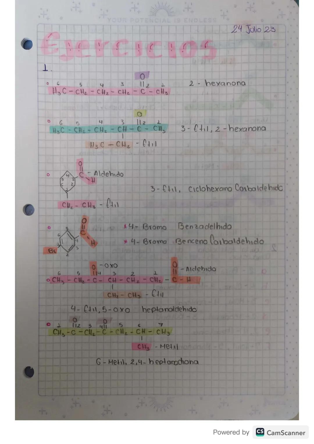 Compuestos Organicos Gropos
Funcionales
Hidrocarburos SustHoidos
10 Jolio 23
Oxigenados Nitrogenado
Halogenados
Acidoo
Aminas
Haluros
Alcoho