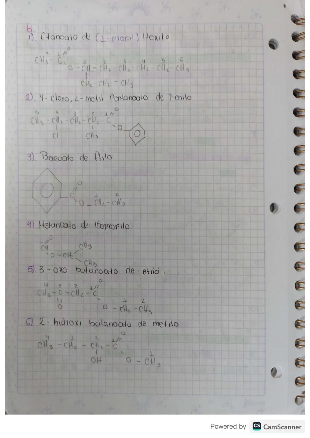 Compuestos Organicos Gropos
Funcionales
Hidrocarburos SustHoidos
10 Jolio 23
Oxigenados Nitrogenado
Halogenados
Acidoo
Aminas
Haluros
Alcoho