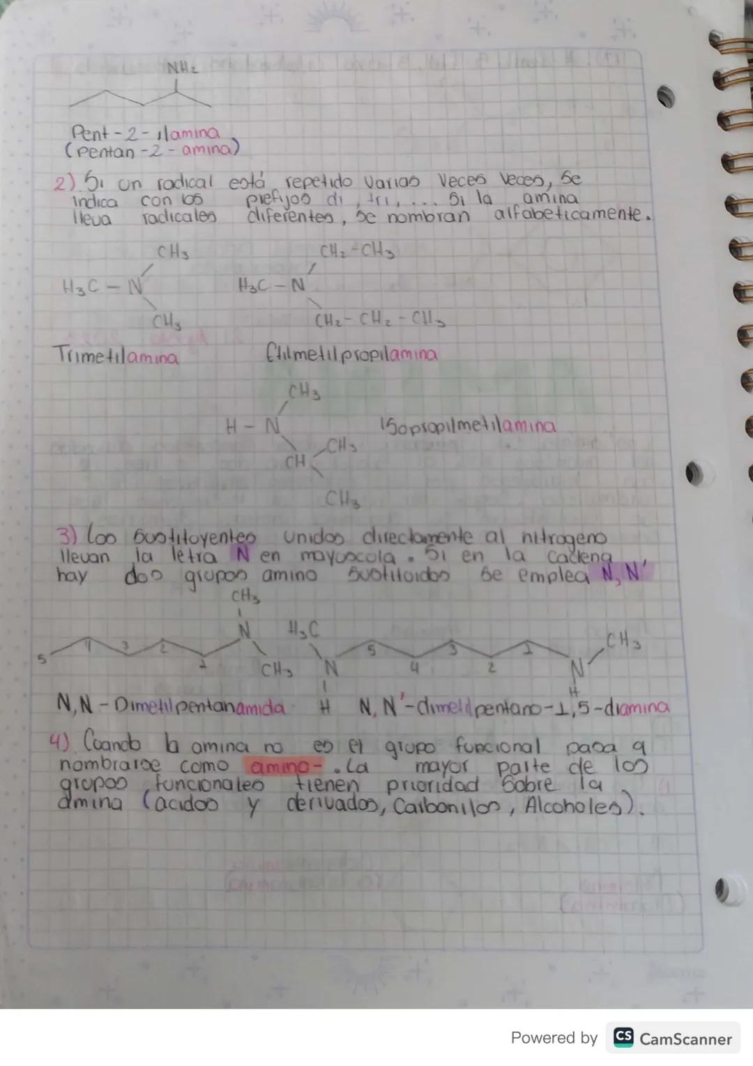 Compuestos Organicos Gropos
Funcionales
Hidrocarburos SustHoidos
10 Jolio 23
Oxigenados Nitrogenado
Halogenados
Acidoo
Aminas
Haluros
Alcoho