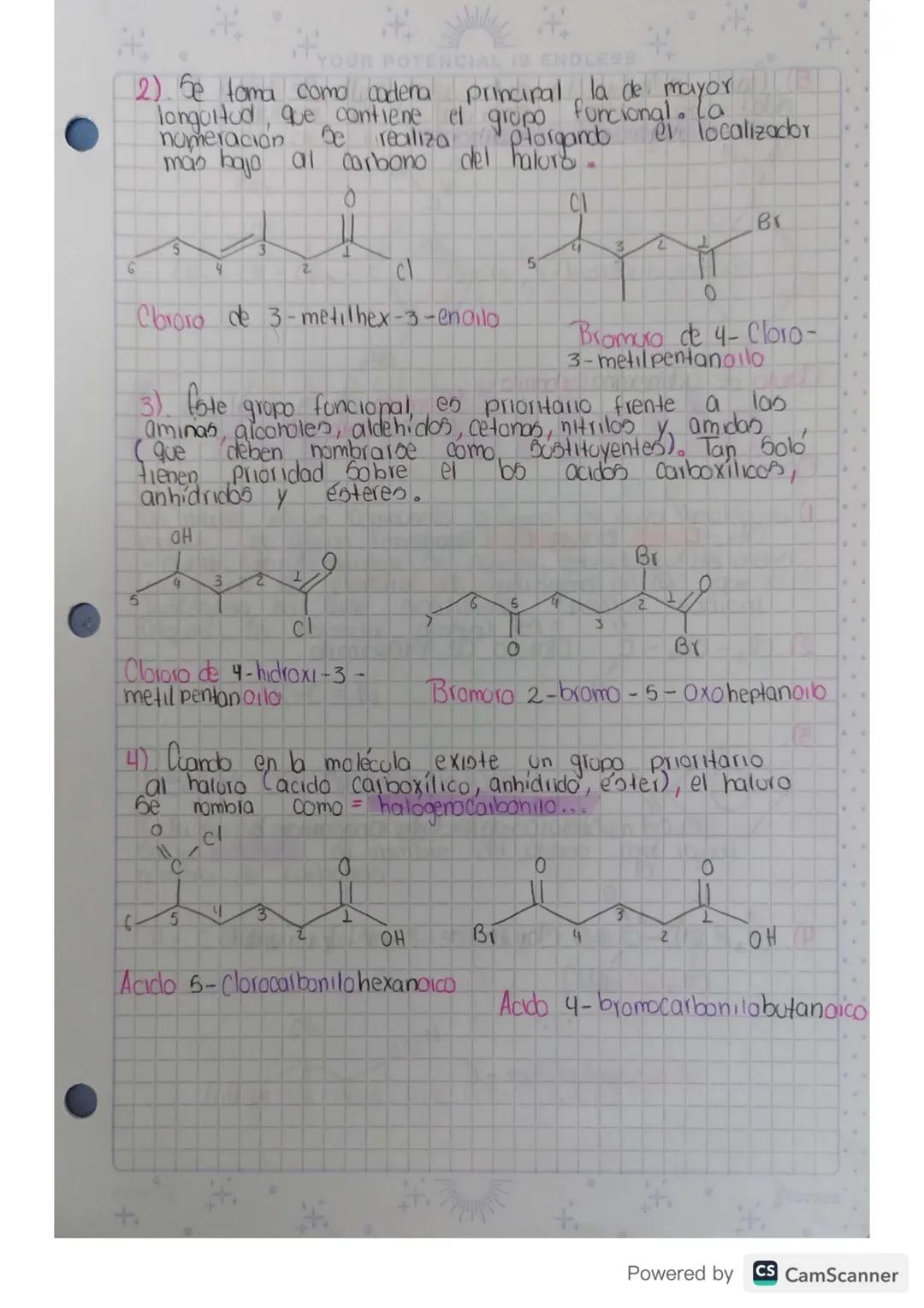 Compuestos Organicos Gropos
Funcionales
Hidrocarburos SustHoidos
10 Jolio 23
Oxigenados Nitrogenado
Halogenados
Acidoo
Aminas
Haluros
Alcoho