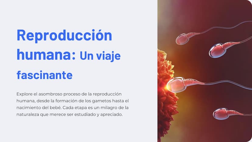 Reproducción
humana: Un viaje
fascinante
Explore el asombroso proceso de la reproducción
humana, desde la formación de los gametos hasta el
