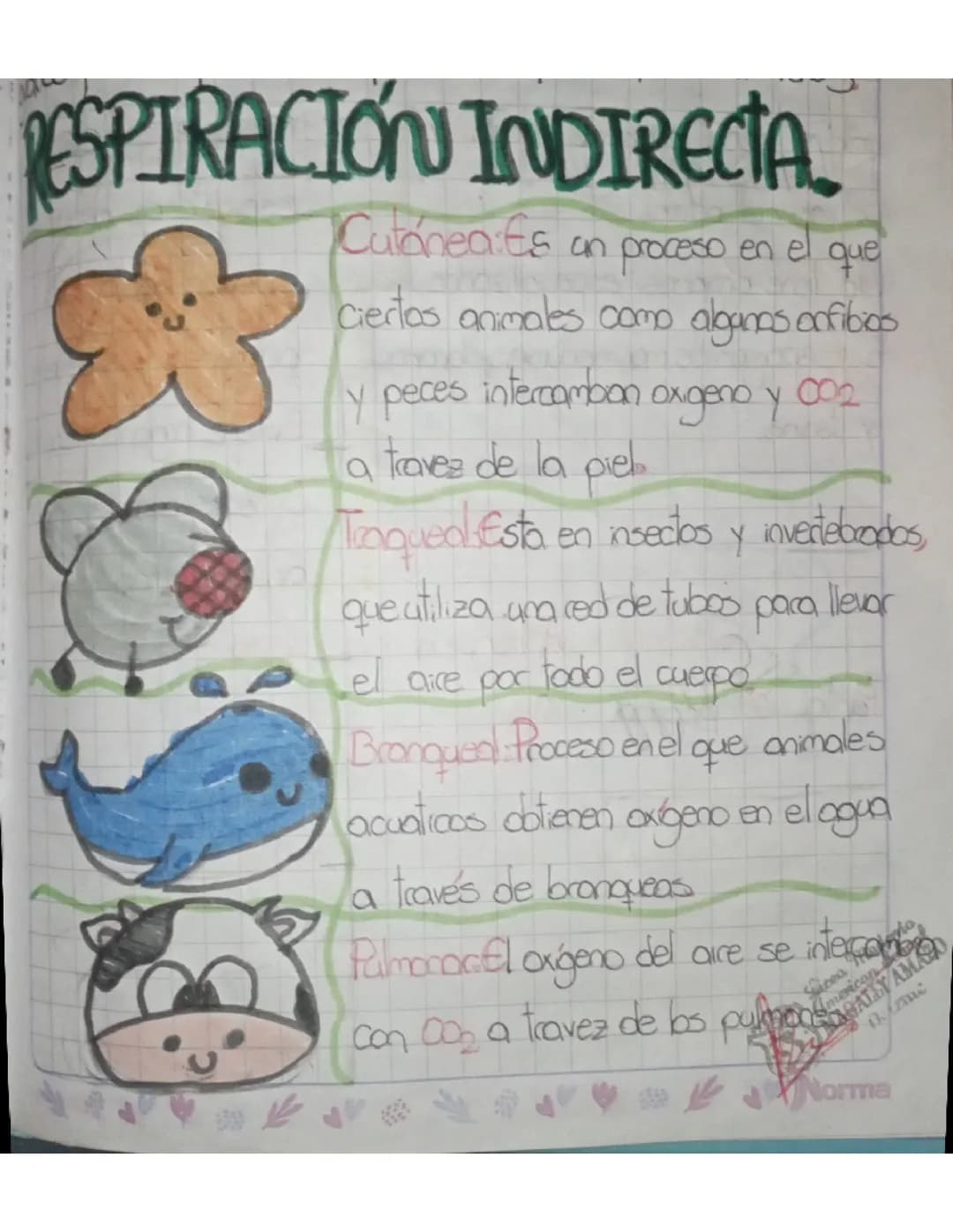 RESPIRACION INDIRECTA 