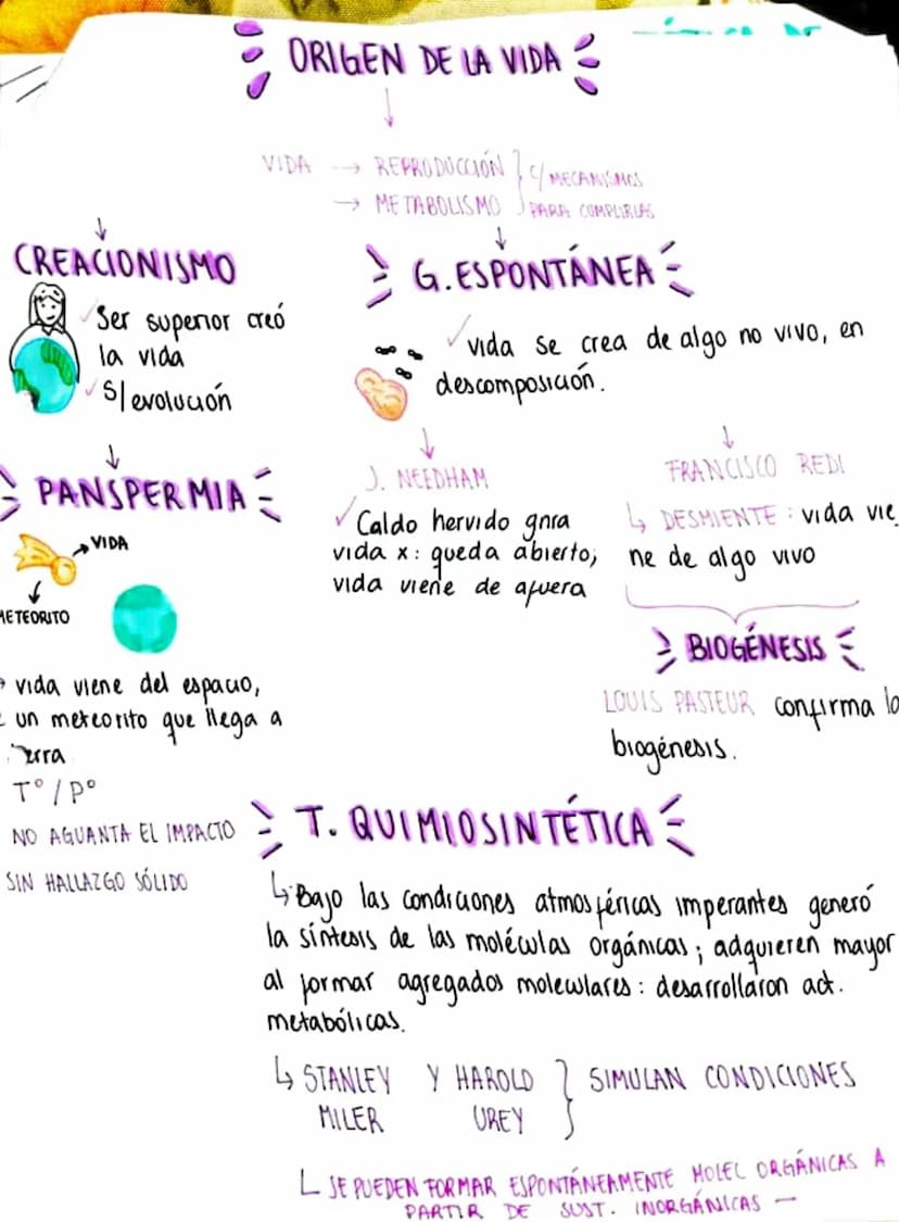 ORIGEN DE LA VIDA
VIDA REPRODUCCIÓN
CREACIONISMO
Ser superior creó
la vida
Sevolución
PANSPERMIA
METEORITO
VIDA
⇒ vida viene del espacio,
- 