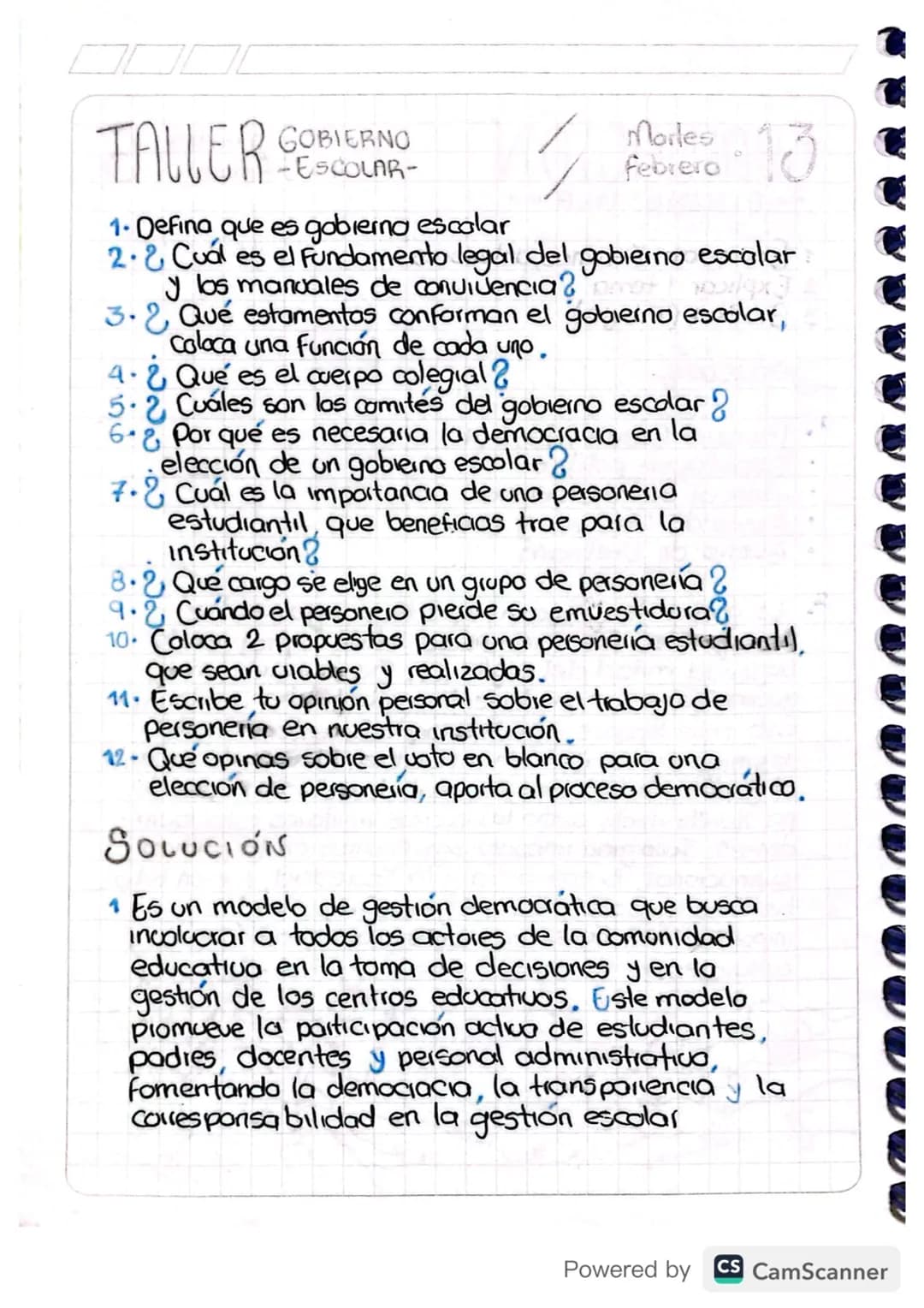 Gobierno Escolar 