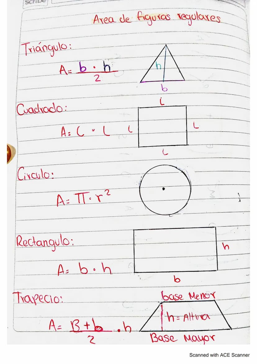 Triángulo:
Area de figuras regulares
A= b.h
Cuadrado:
2
A = C - L
し
A
b
L
L
Circulo:
A = πT= r²
Rectangulo:
A= b.h
b
Trapecio:
base Menor
A 