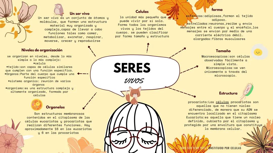 Mapa mental seres vivos