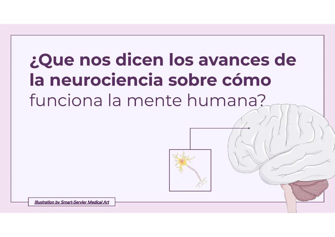 La neurociencia sobre cómo funciona la mente humana