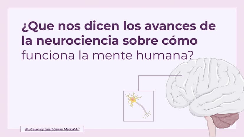 ¿Que nos dicen los avances de
la neurociencia sobre cómo
funciona la mente humana?
Illustration by Smart-Servier Medical Art Definición de n