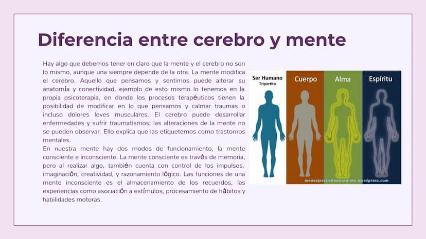 ¿Que nos dicen los avances de
la neurociencia sobre cómo
funciona la mente humana?
Illustration by Smart-Servier Medical Art Definición de n