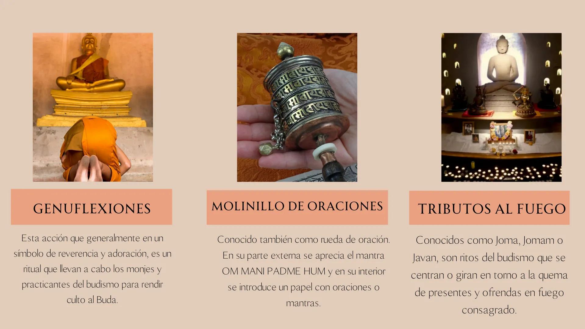 SÍMBOLOS
Rueda del dharma
Es el símbolo mas popular de esta religión y existen
varias interpretaciones sobre su significado. Se cree
que era