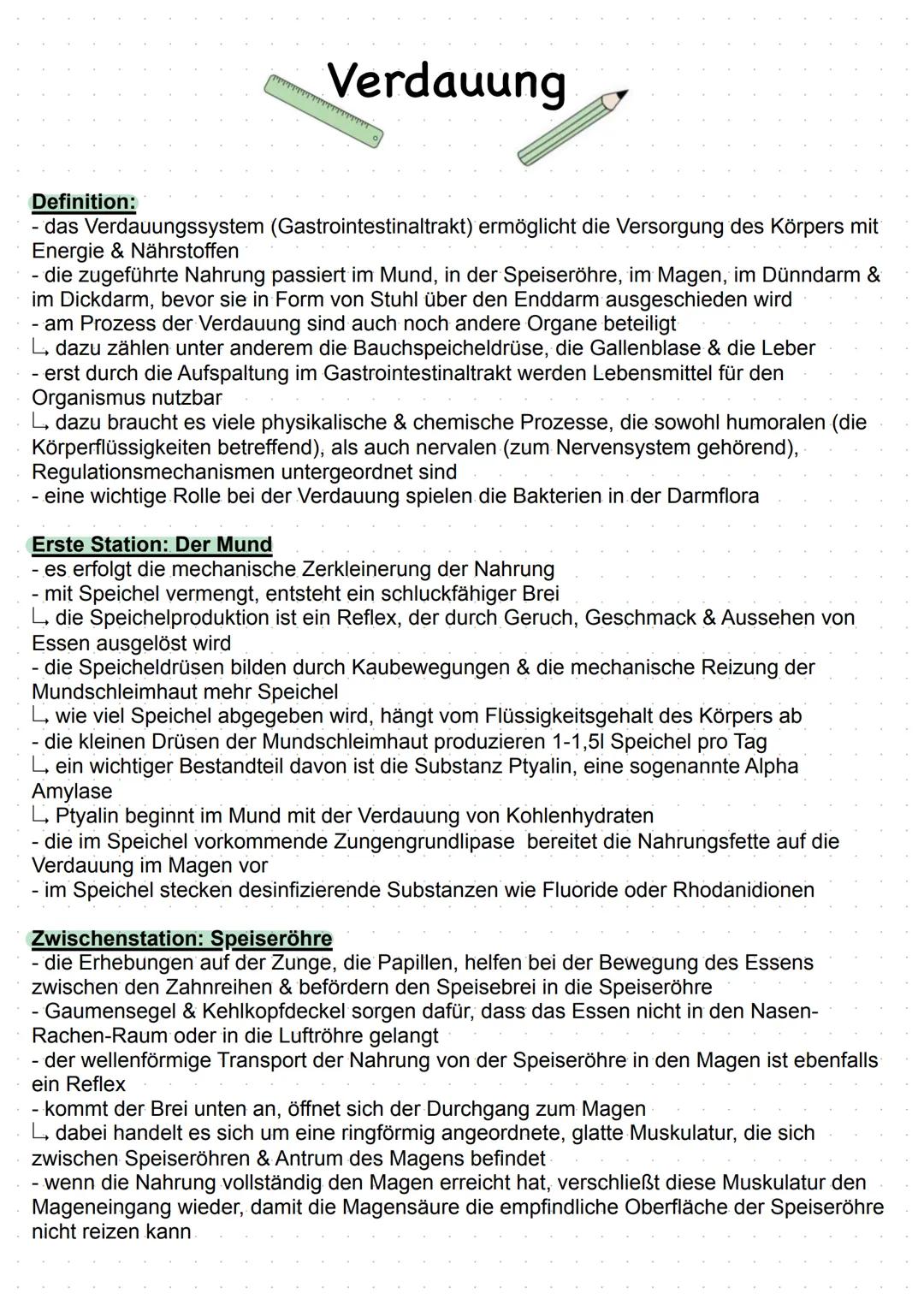 # Verdauung

Definition:
- das Verdauungssystem (Gastrointestinaltrakt) ermöglicht die Versorgung des Körpers mit
Energie & Nährstoffen
- di
