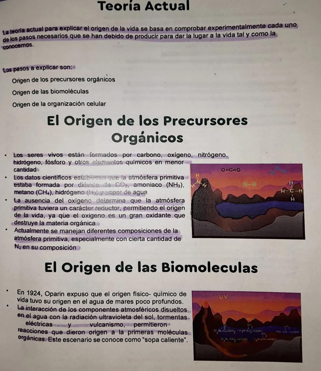 Teoría Actual

La teoria actual para explicar el origen de la vida se basa en comprobar experimentalmente cada uno
de los pasos necesarios q