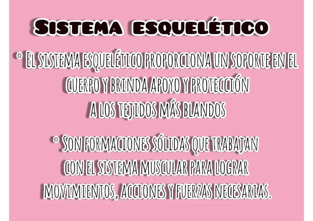 Sistema esquelético 