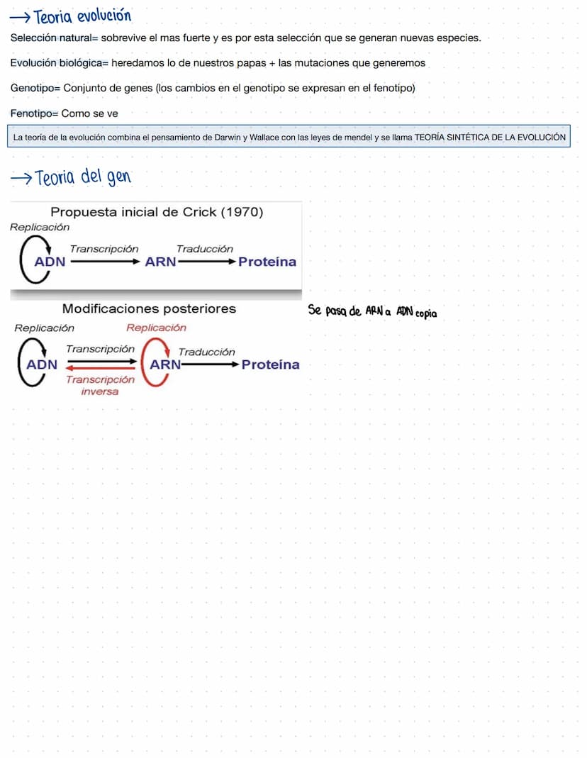 Clase 1
→ INTRODUCCIÓN A LA BIOLOGÍA MOLECULAR Y CELULAR
¿Que es la biologia?
La biología da respuesta a preguntas, estudia los seres vivos 