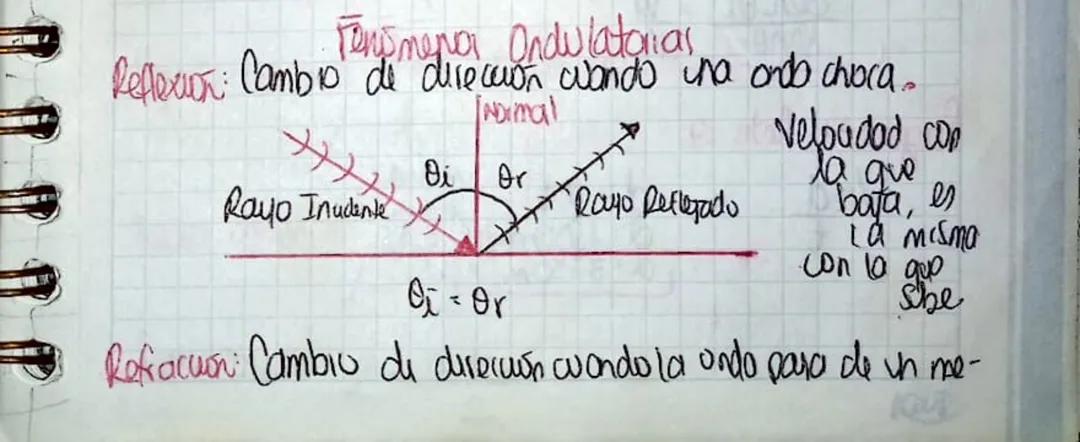 Fenómenos Ondulatorios: Reflexión y Refracción Explicados