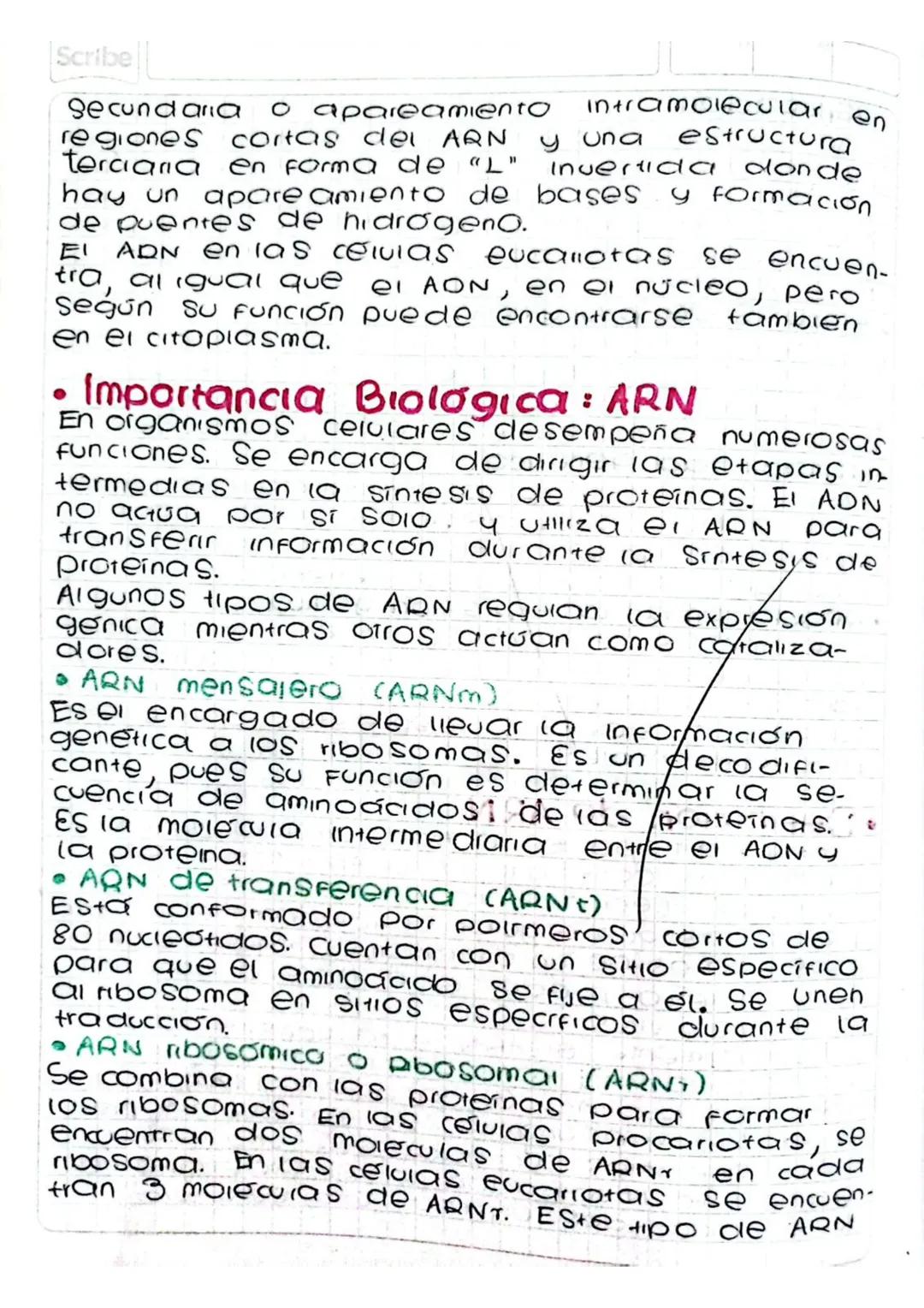 •Definición de ARN
EARN participa en la transferencia de (a
informacion contenida en el ADN hacia los
ribosomas mediante la sintesis de prot