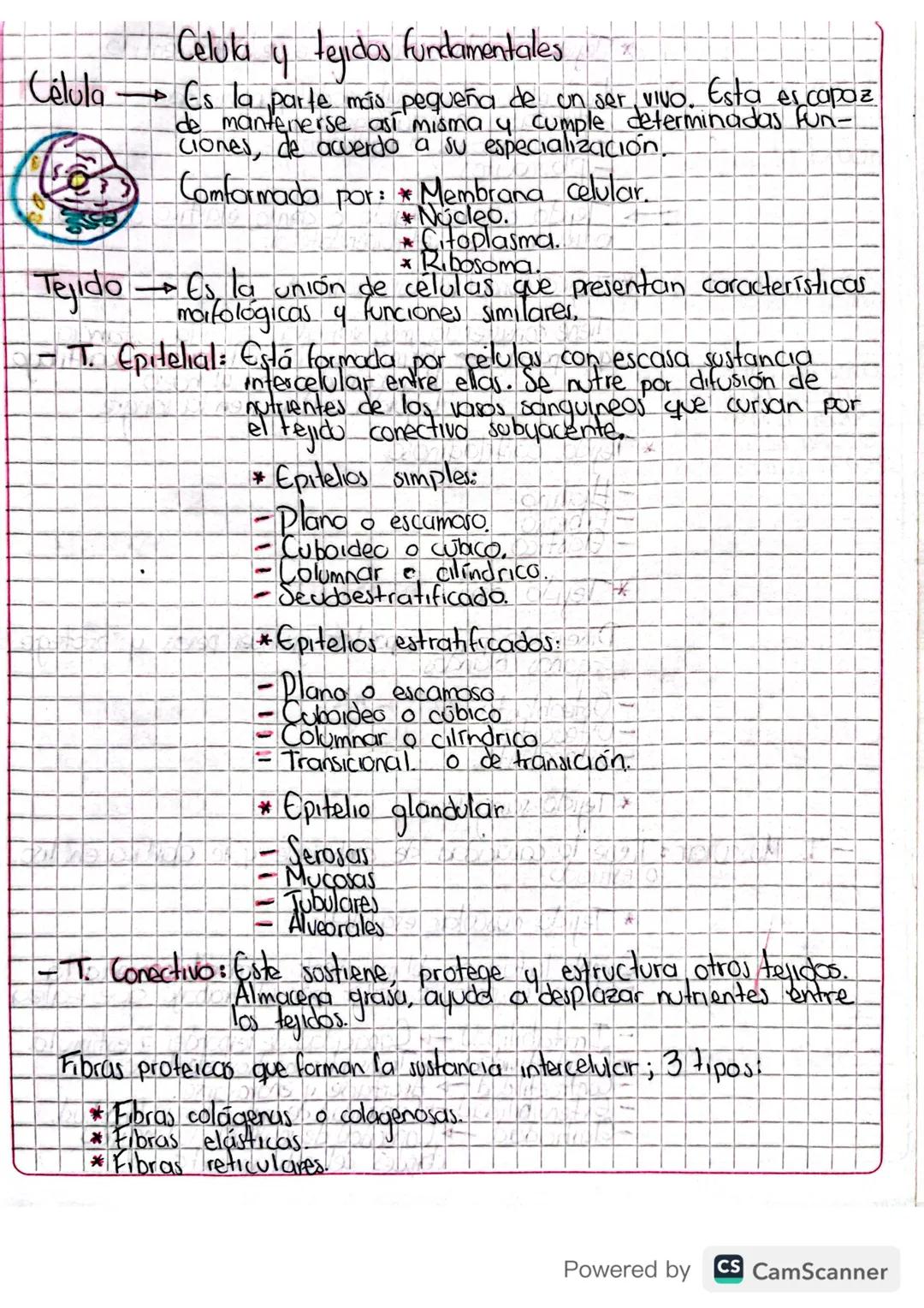 Célula y tejidos fundamentales