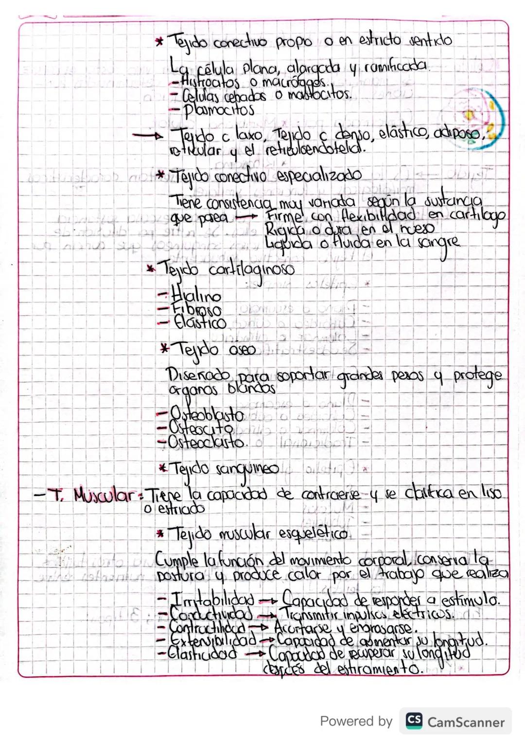 Celula
4
y tejidos fundamentales
刘
Célula
Tejido
Esta
es capaz
+ Es la parte más pequeña de un ser VIVO.
de mantenerse así misma y cumple de