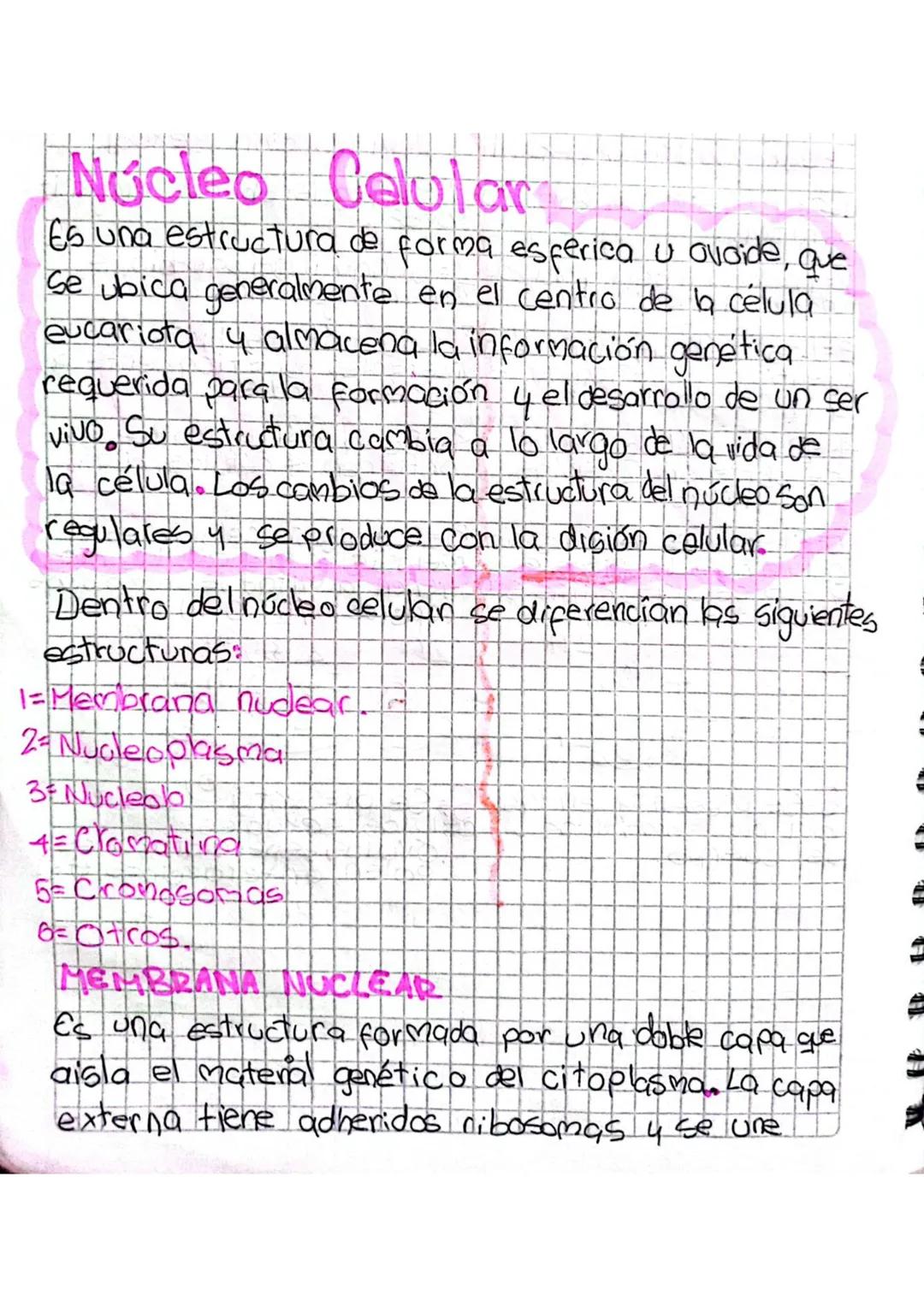 Núcleo
Celular
Es una estructura de forma esferica u ovoide, que
Se ubica generalmente en el centro de la célula
eucariota y almacena la inf